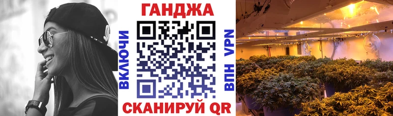 Шишки марихуана Bruce Banner  Купить закладки  Ленинск-Кузнецкий 